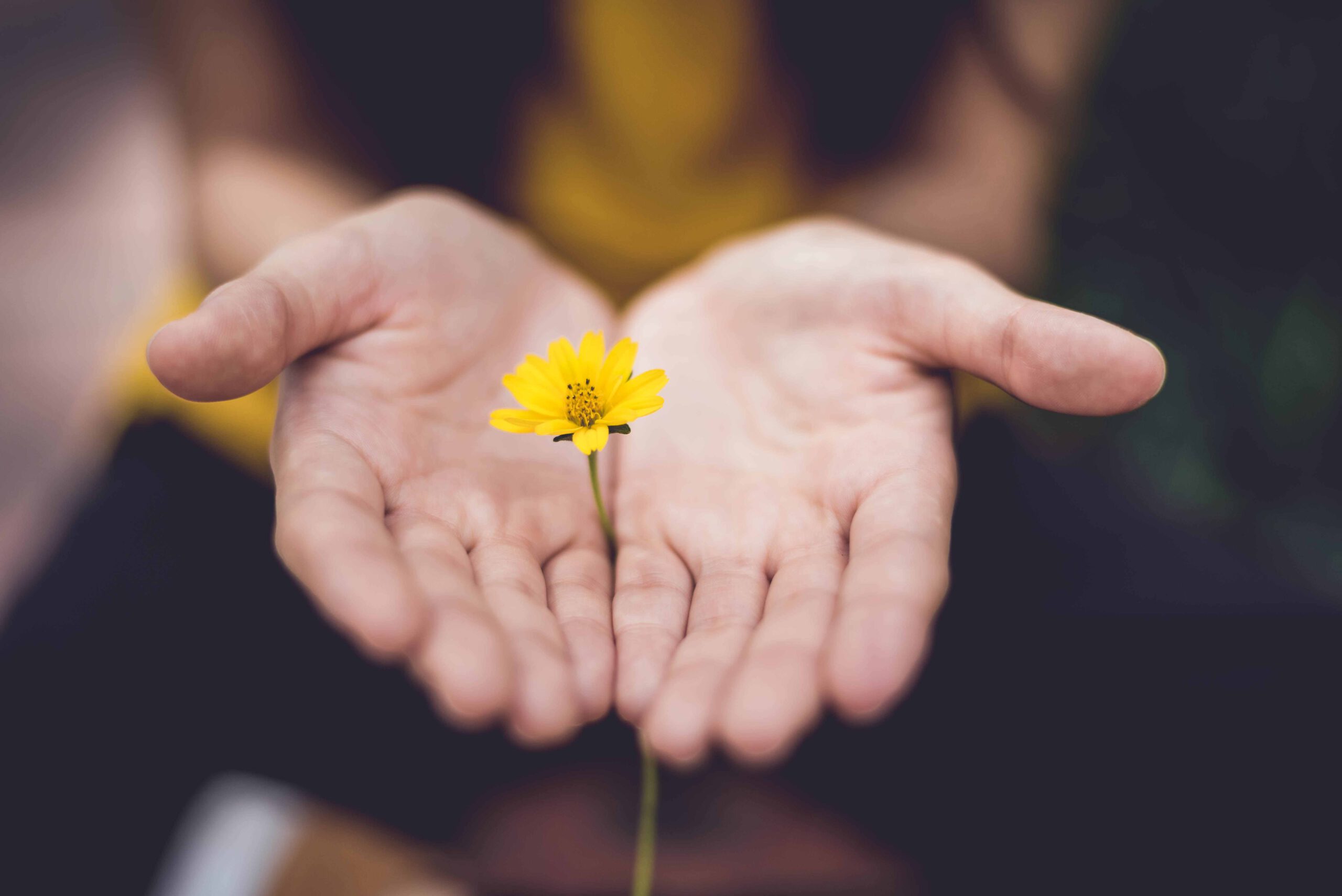 Naturmedizin und Schulmedizin gemeinsam