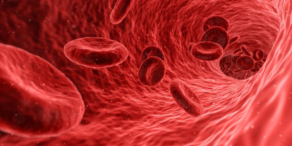 Blood Cells Red Medical Medicine - qimono / Pixabay